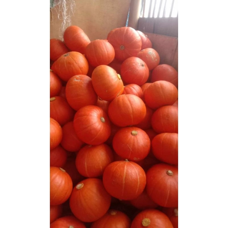 

KABOCA ORANGE