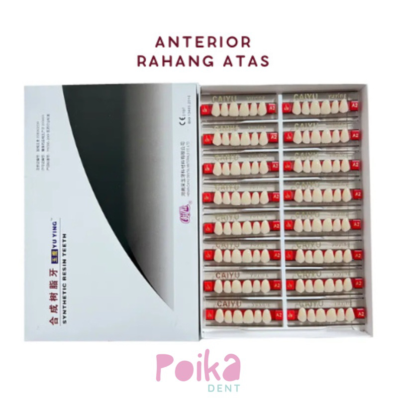 Gigi Palsu Depan Atas Acrylic Resin / Gigi Palsu Anterior Acrylic Caiyu / Synthethic resin teeth
