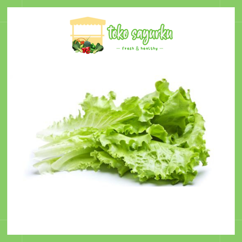 

daun selada keriting 200g
