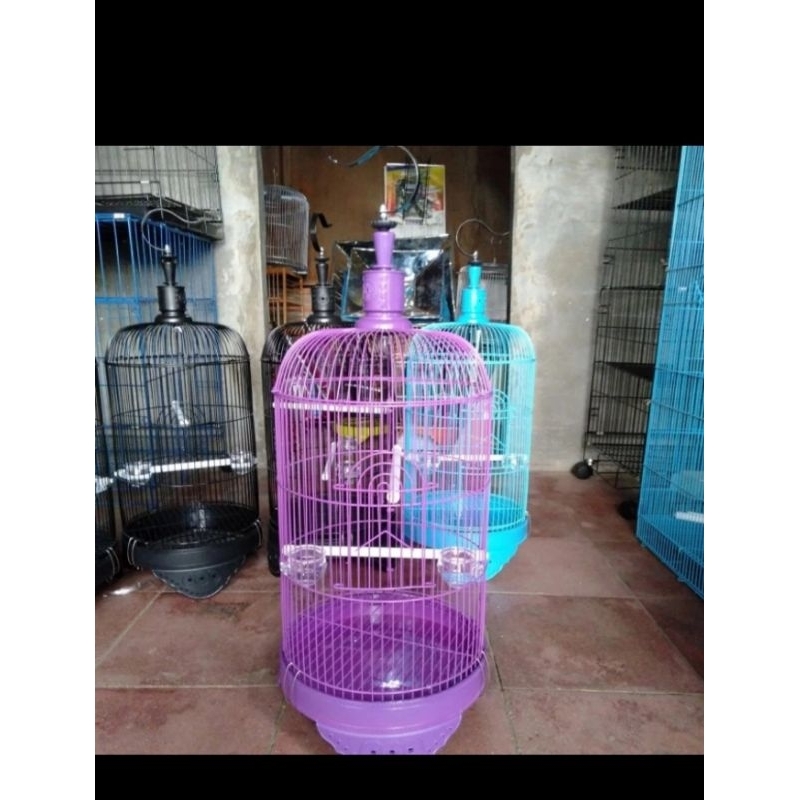 sangkar kandang burung ciblek pleci Kolibri dll besi import