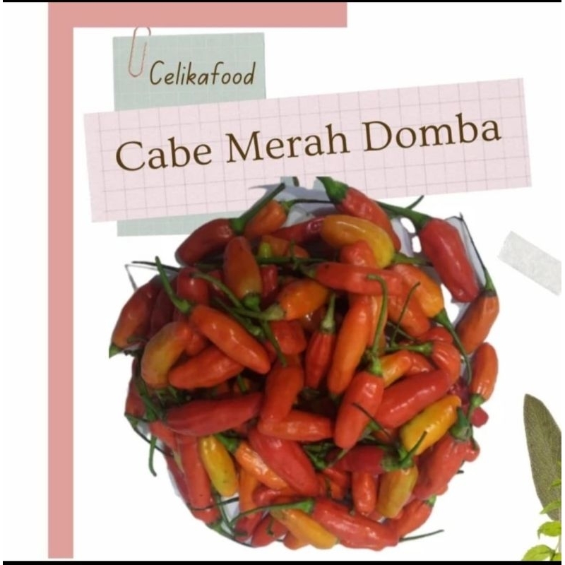 

Cabe Domba 100gr Cabai Cengek Rawit Merah Pedas Fresh Food Makanan Hot Chili