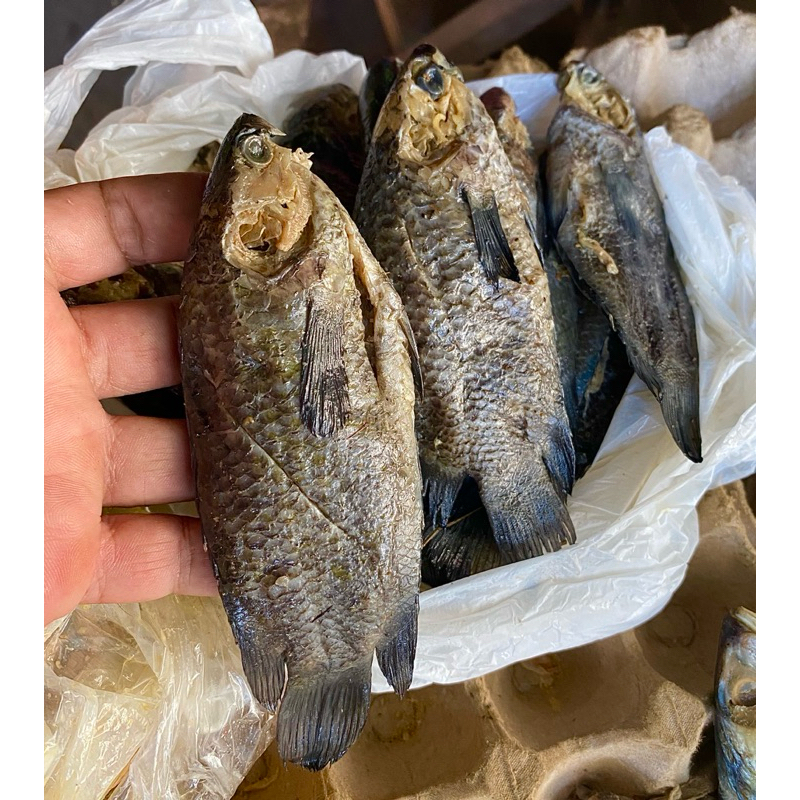 

Iwak Wadi Papuyu / Ikan Asin Betok 250gr (Gratis box penyimpan ikan)