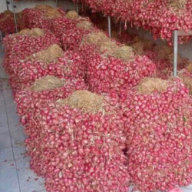 

BAWANG MERAH LOKAL SUPER/BERBAGAI UKURAN/harga termurah