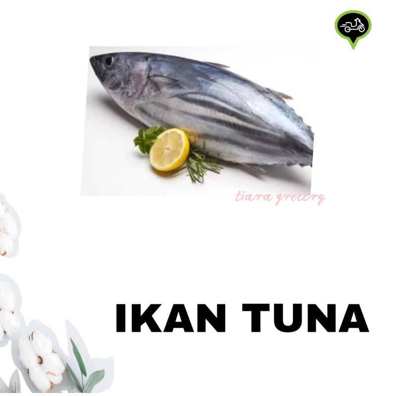 

Ikan tuna fresh