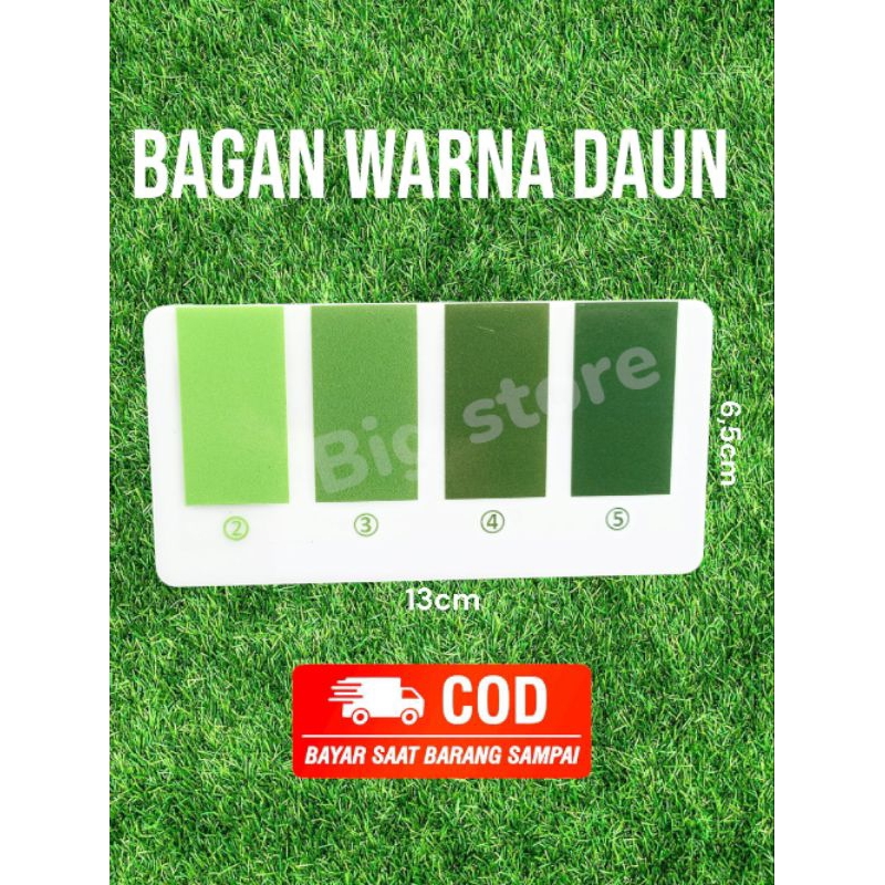 Bagan warna daun 4 chart BWD 4 chart untuk Tanaman Padi