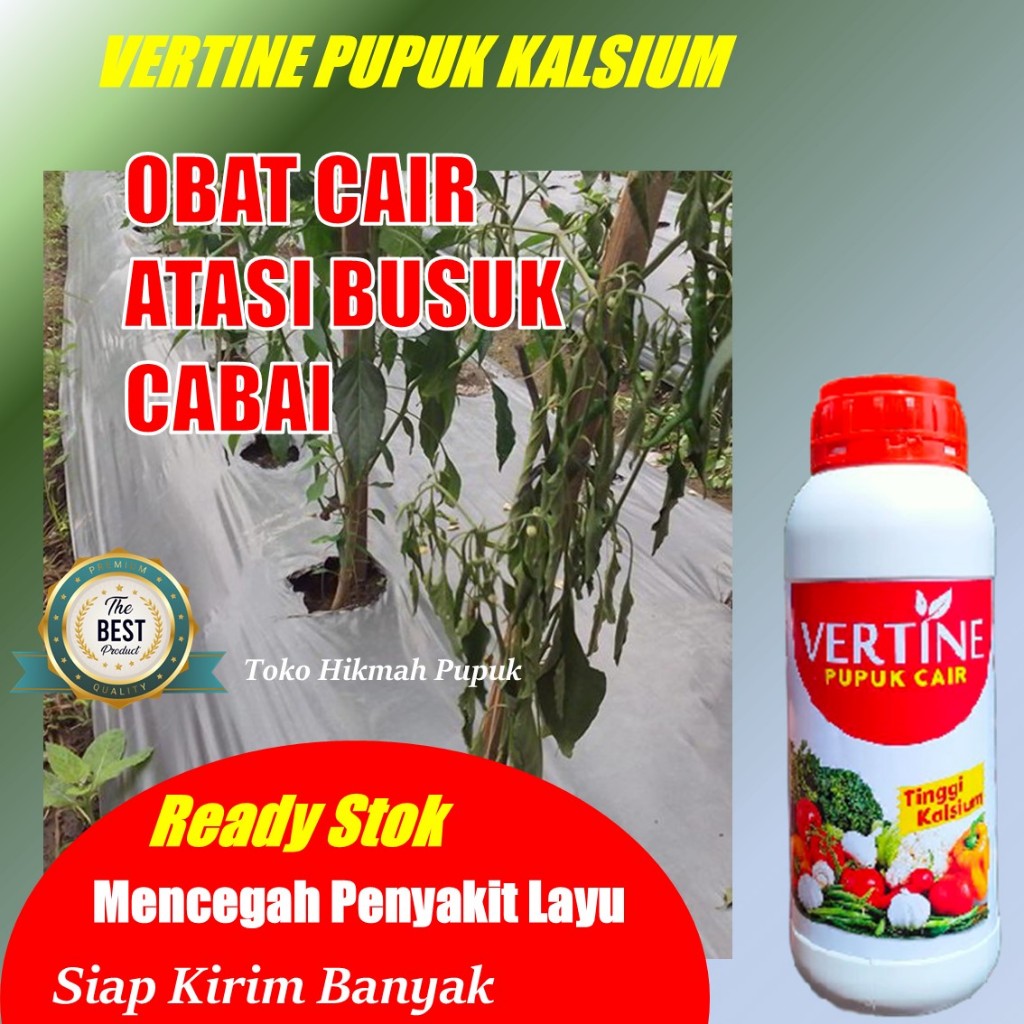 PUPUK TANAMAN ANTI STRES, LAYU BUAH CABE OBAT KERITING DAUN CABE PUPUK NUTRISI PEMBESAR PELEBAT BUAH