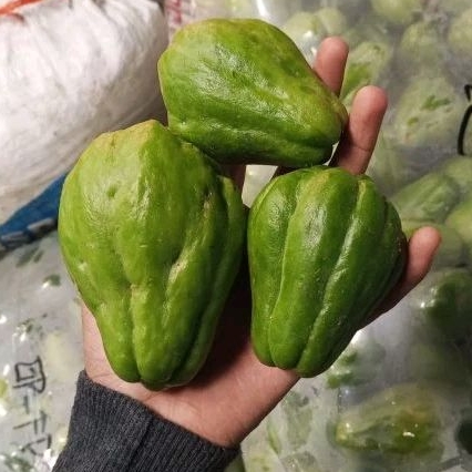 

Labu siam Besar 500 gram