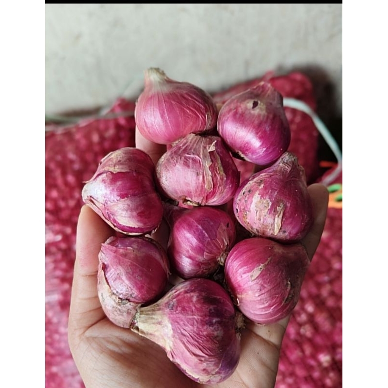 

Bawang merah lokal