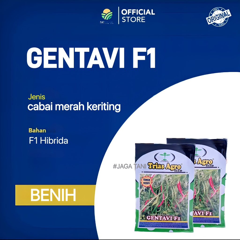 benih cabai keriting GENTAVI F1
