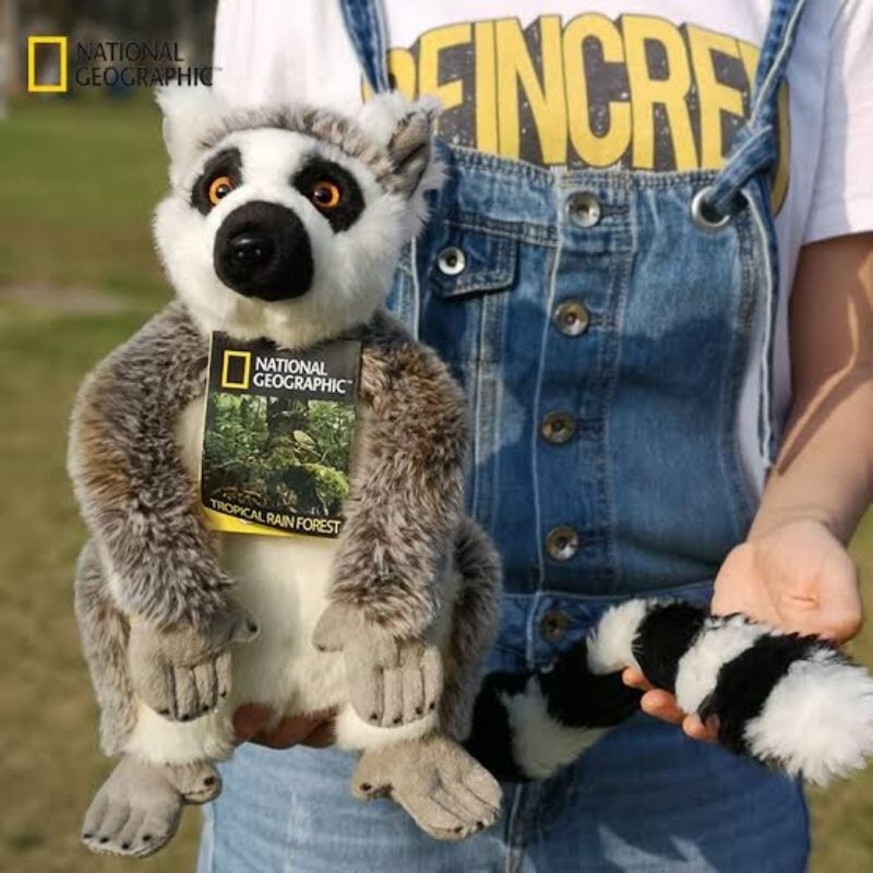 Boneka Lemur Import Original NATIONAL GEOGRAPHIC Ring Tailed Madagascar Plush Toy Stuff Plushie Toys