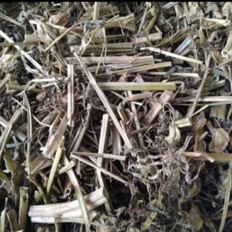 

Ciplukan/Daun Cecendet/Daun Kering Rempah Tradisional 500 g