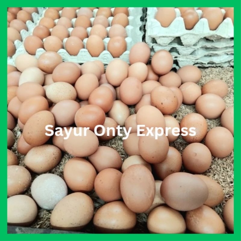 

Telur Ayam Negeri Fresh 500 gram