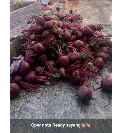 

buah beetroot / buah bit / obat naiknya HB 1kg