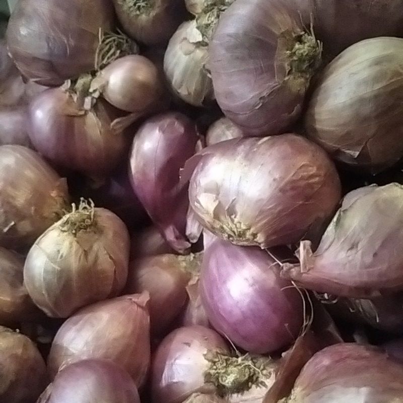 

Bawang Merah 1/4 Kg