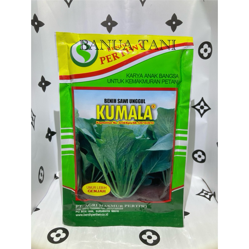 

BENIH BIBIT SAWI KUMALA ISI 100gram