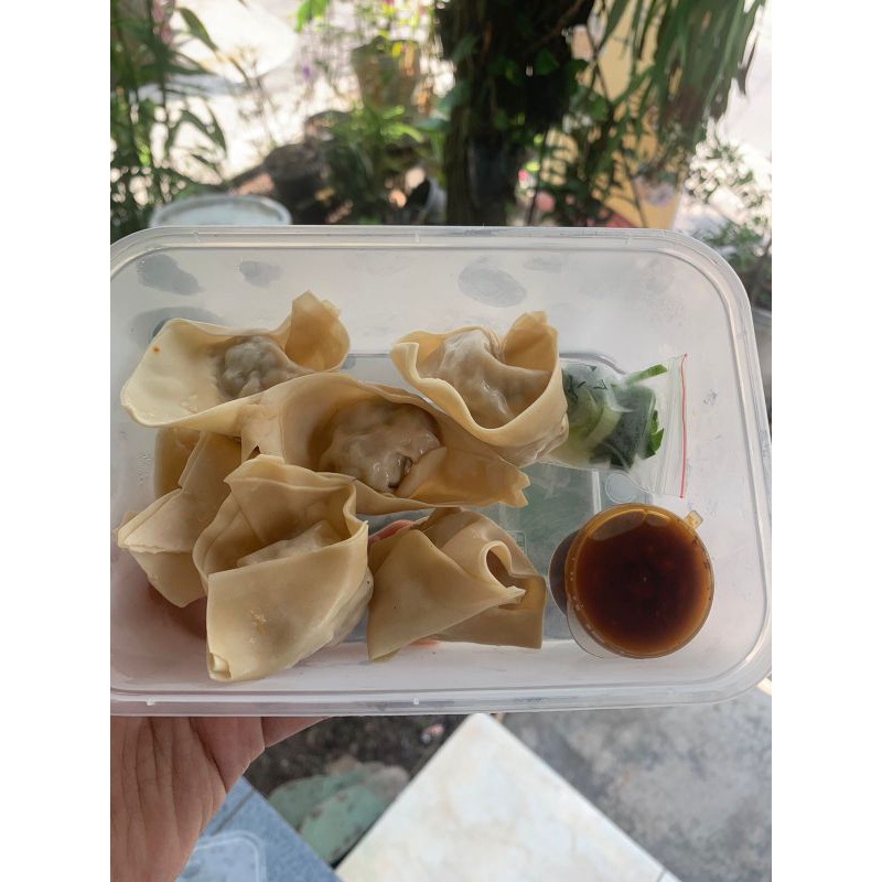 

pangsit rebus