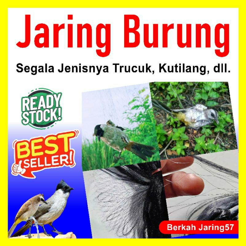 jaring burung/jaring burung kutilang/jaring burung 20meter