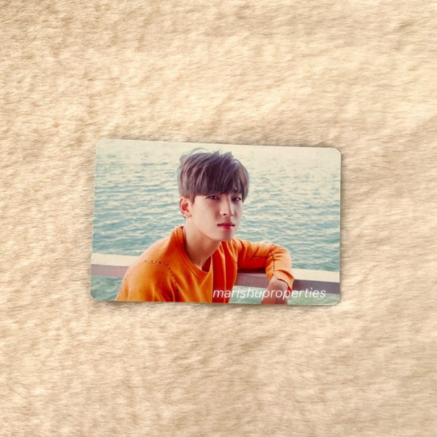 PHOTOCARD SEVENTEEN WONWOO TEENAGE GREEN