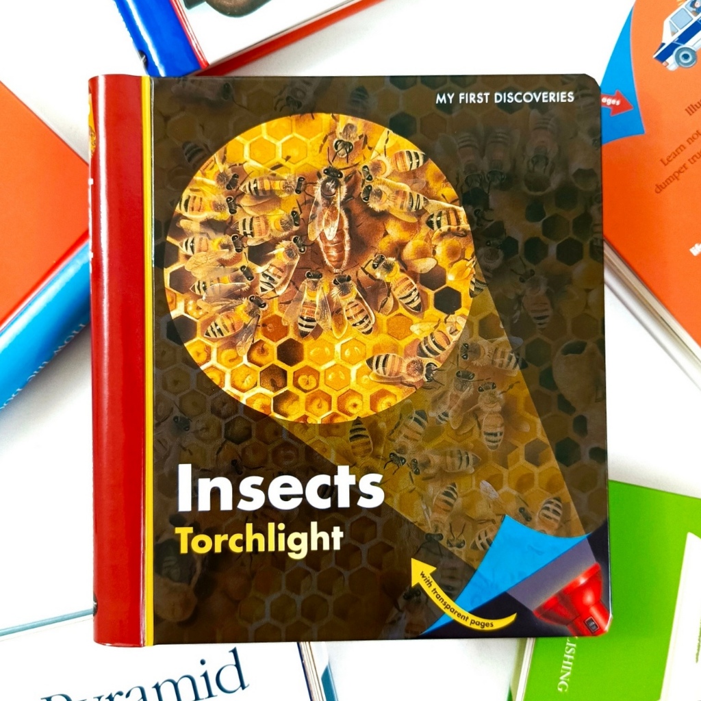 My First Discovery Torchlight Insects