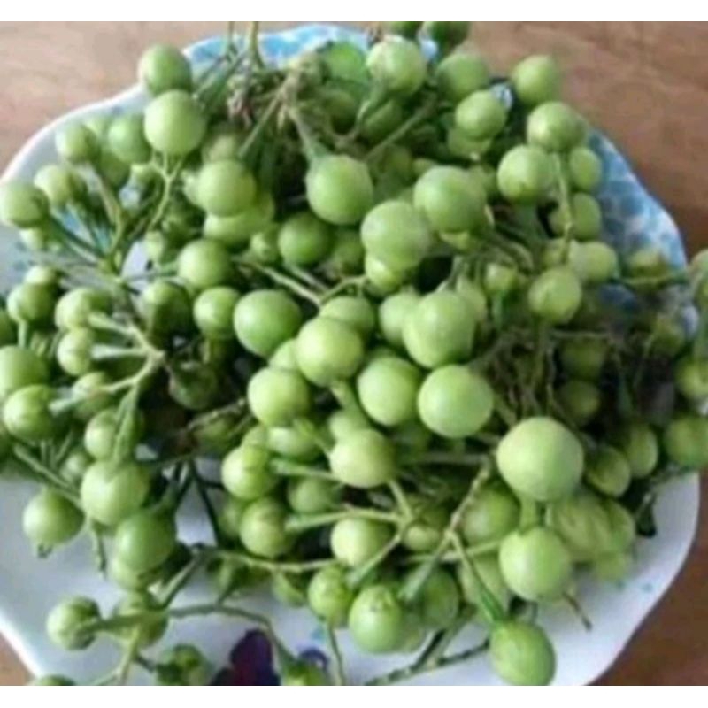

peromo buah tekokak segar terong Pipit per 250 gram