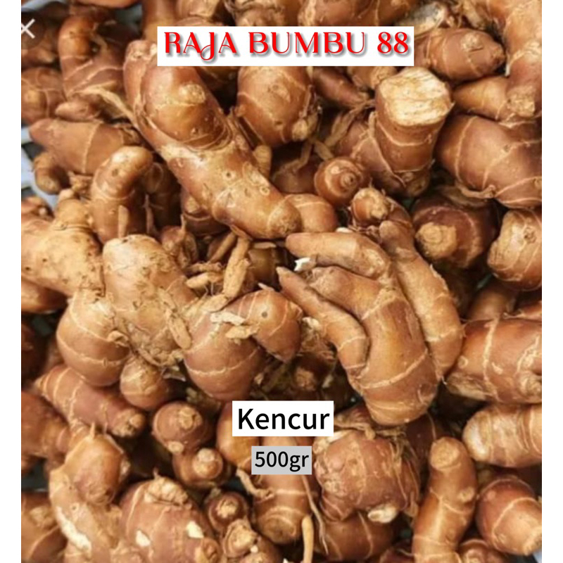 

KENCUR 500gr