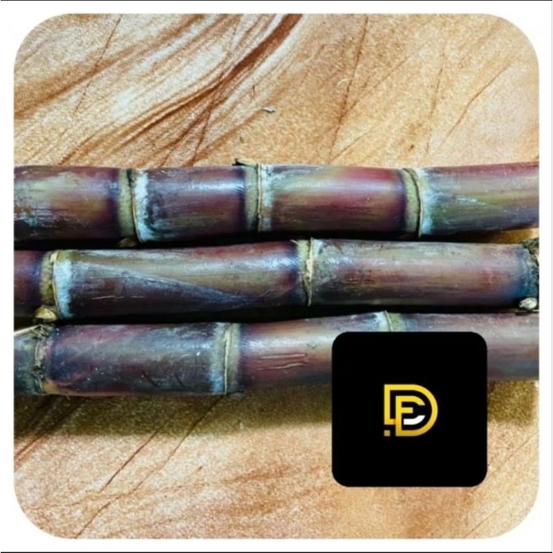 

Batang tebu merah super mantap isi 5 batang-az