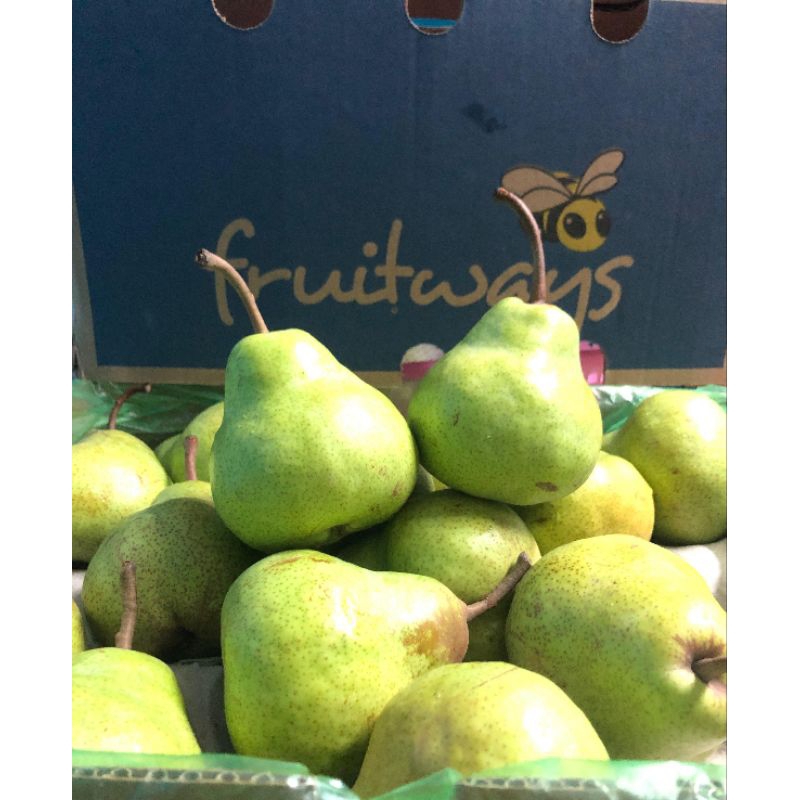

Pear Packham Afrika Fruitways Size 45/kg