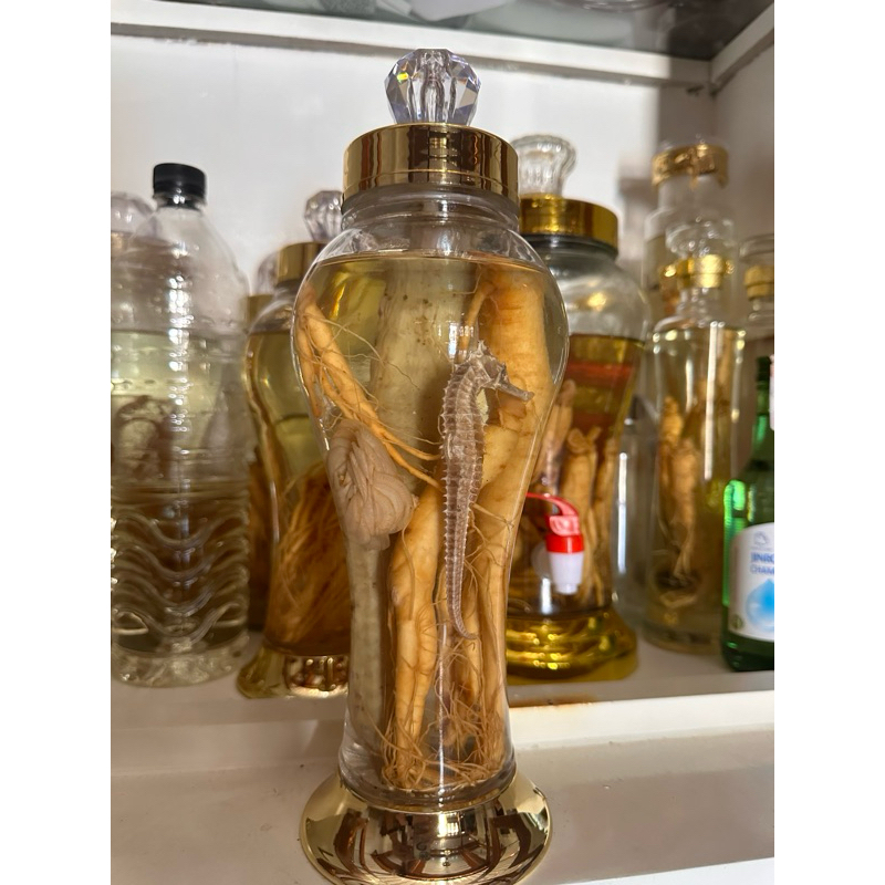 

paket ginseng komplit