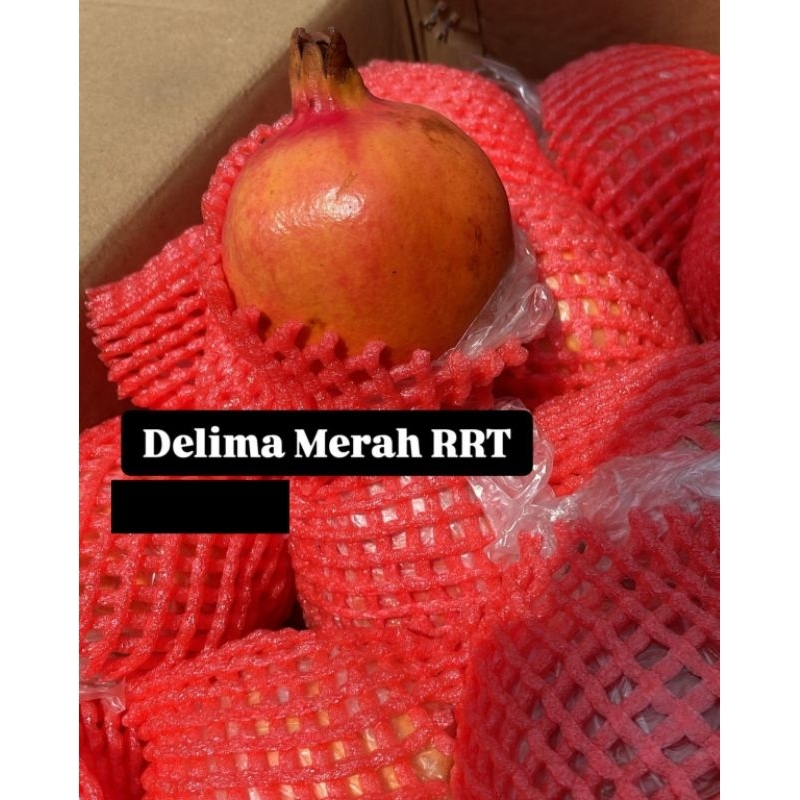 

Delima Merah RRT 1kg