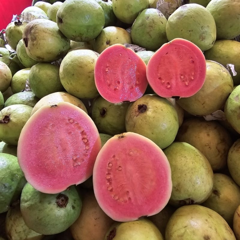 

Jambu Merah Biji 1kg