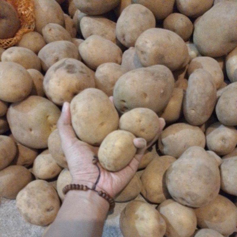 

kentang Kuning Dieng Campur 500 gram isi 4-10 pcs [MM -sayur segar -kentang segar]