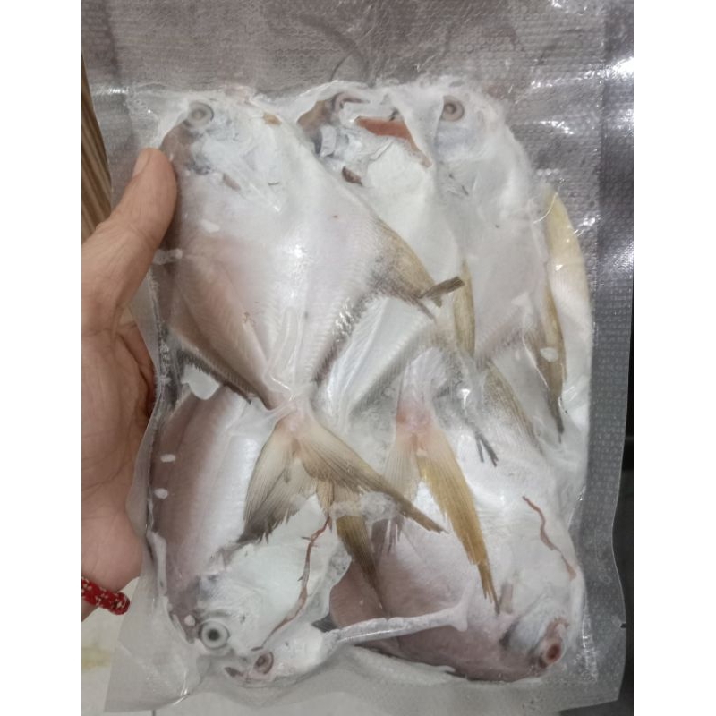 

Bawal putih kecil 500gr