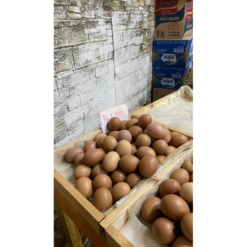 

Telur 2.000 Medan Johor