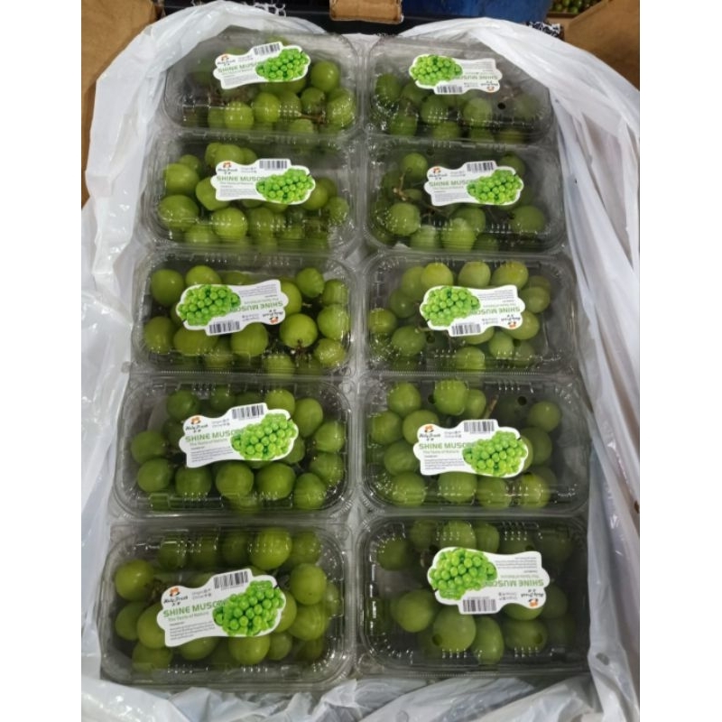 

Anggur Shine Muscat 500 gr