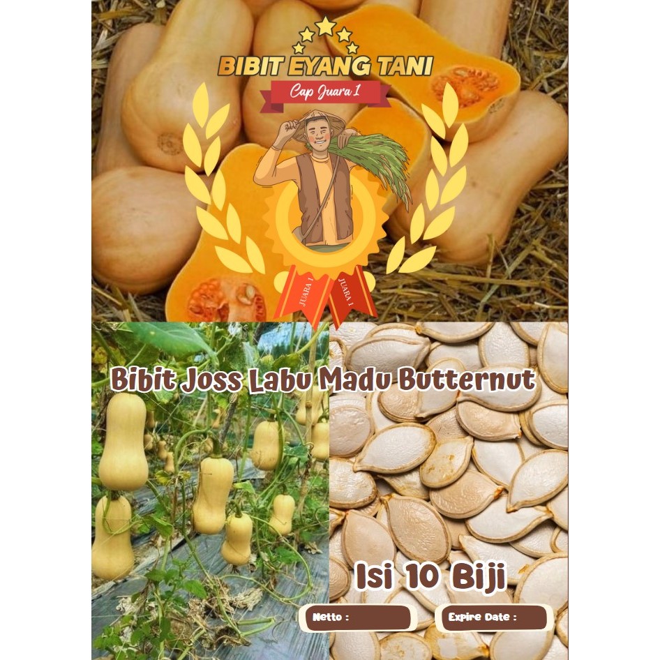 Bibit Joss Labu Madu Butternut | Bibit Labu Waltham Butternut Squash
