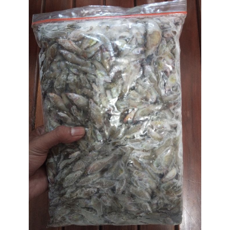 

Ikan Cere Laut Beku 1KG