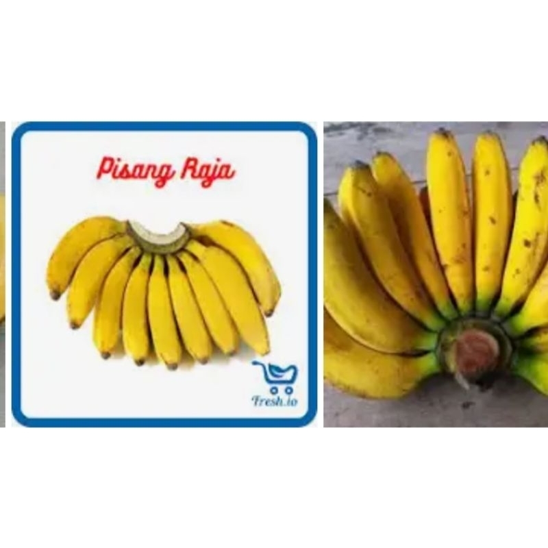 

pisang raja