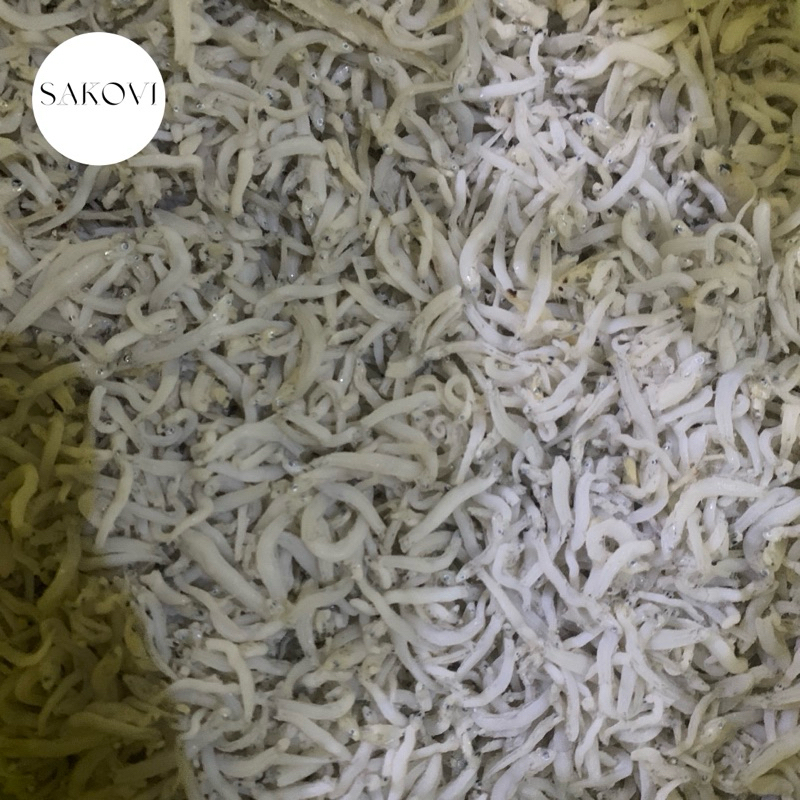 

Teri nasi (Teri medan)