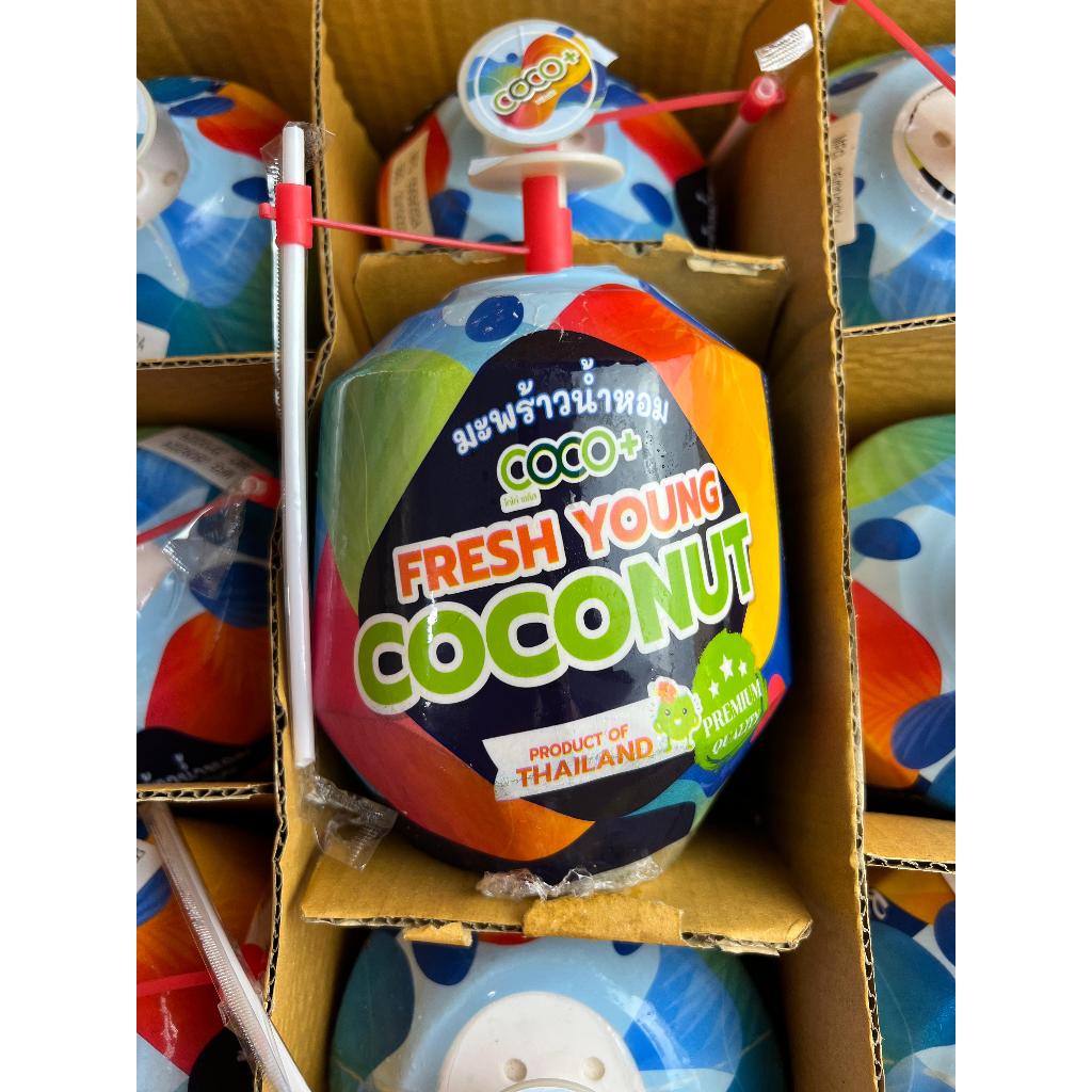 

Coco+ Young Coconut 1 Buah