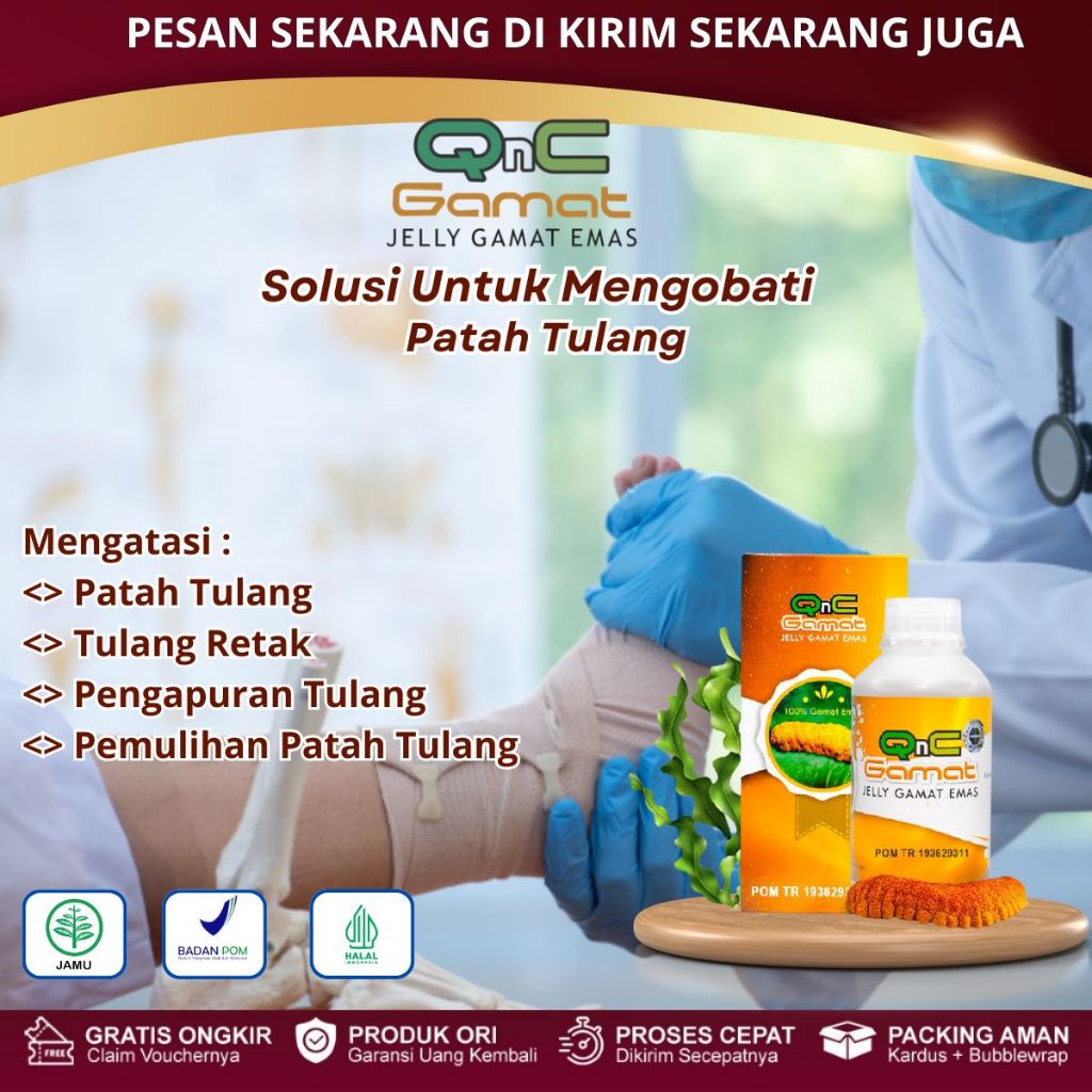 Obat Patah Tulang, Penyambung Tulang Patah, Pemulihan Patah Tulang,  Penguat Tulang-QnC Jelly Gamat