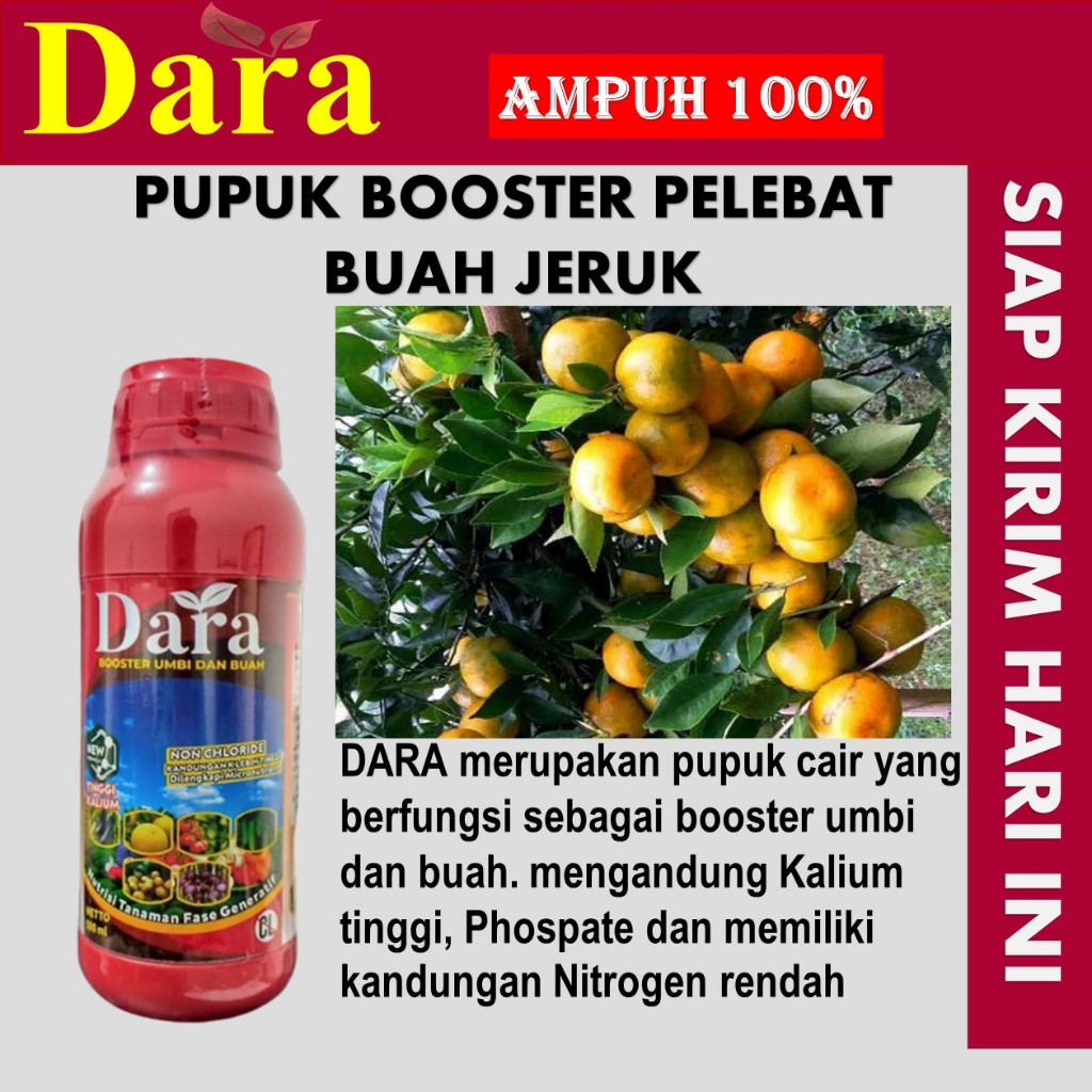DARA 500 ml Pupuk booster buah jeruk - Pupuk perangsang buah jeruk - Pupuk buah jeruk- Pupuk pelebat
