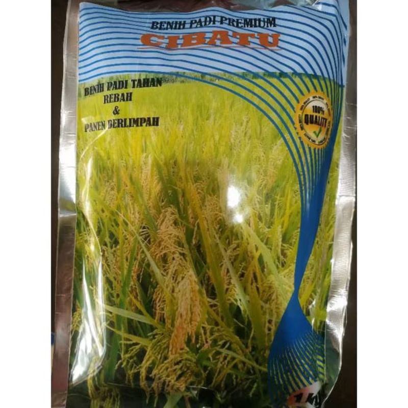 Benih padi Cibatu 05 Premium 1kg