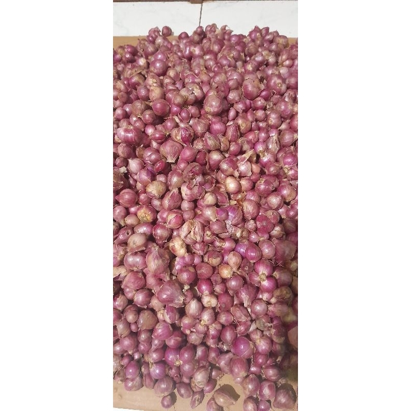 

BAWANG MERAH PROBOLINGGO 1/2 KILO GRAM STENGAH KILO