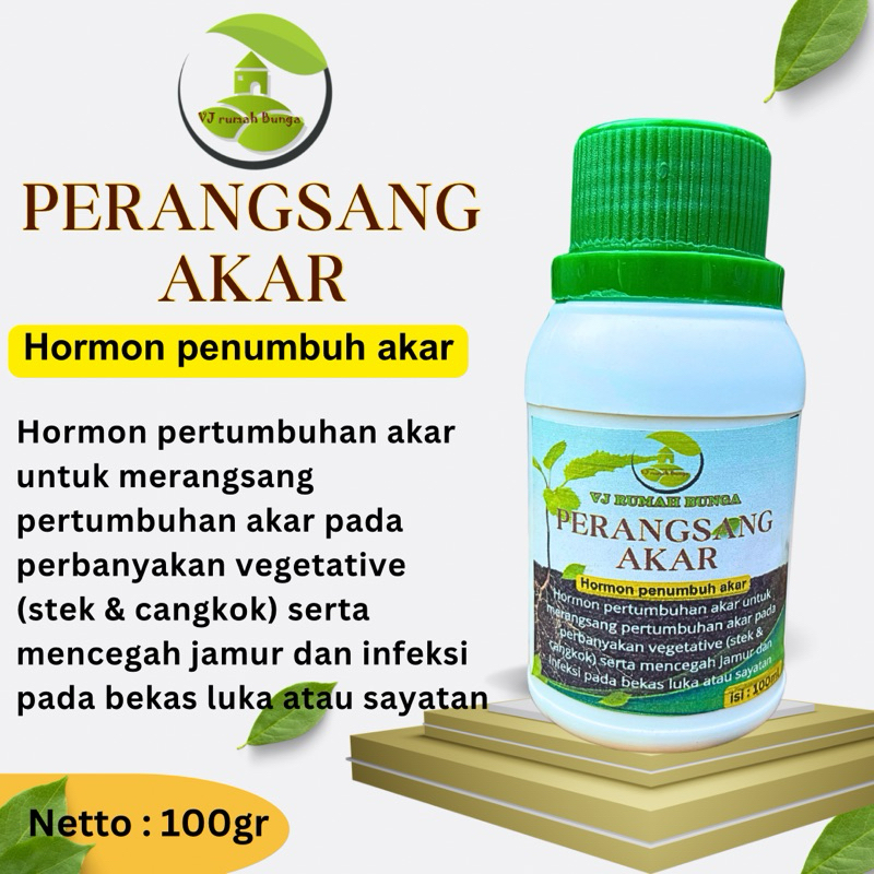 PERANGSANG AKAR PENUMBUH AKAR 100 gram booster akar