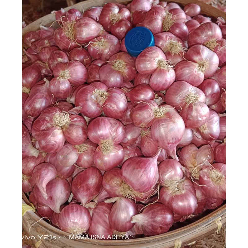 

BAWANG MERAH SUPER JUMBO 500gr BRAMBANG SUPER BAWANG MERAH JUMBO