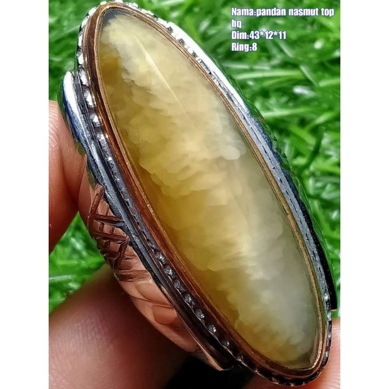 Natural Pandan Nanas Lumut Rudal