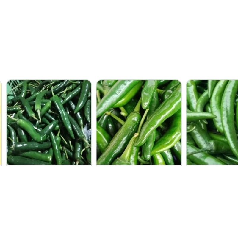 

lombok ijo besar 250/ pasar online karuwisi