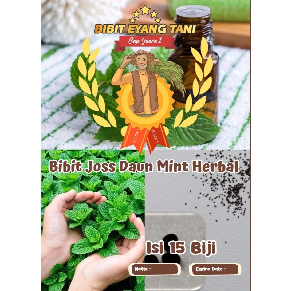 Bibit Joss Daun Mint Herbal | Bibit Daun Mint