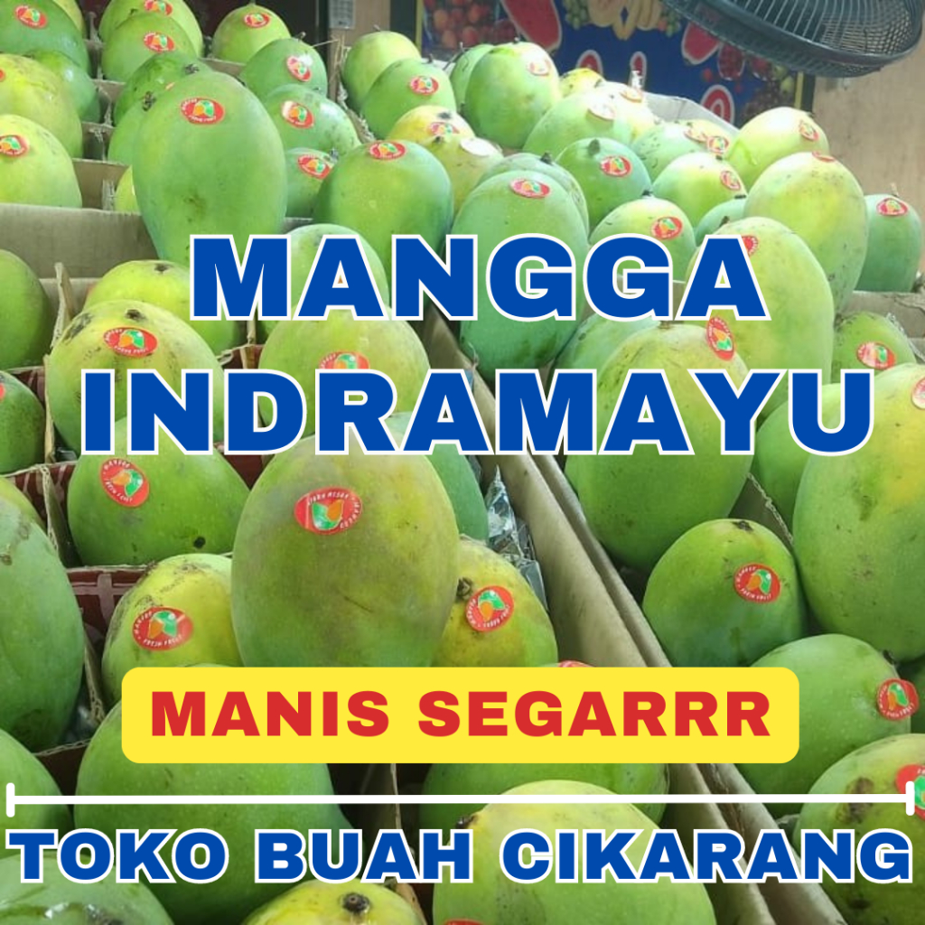 

(BISA COD) PROMOO BUAH MANGGA INDRAMAYU 1 KG KILO TOKO BUAH CIKARANG