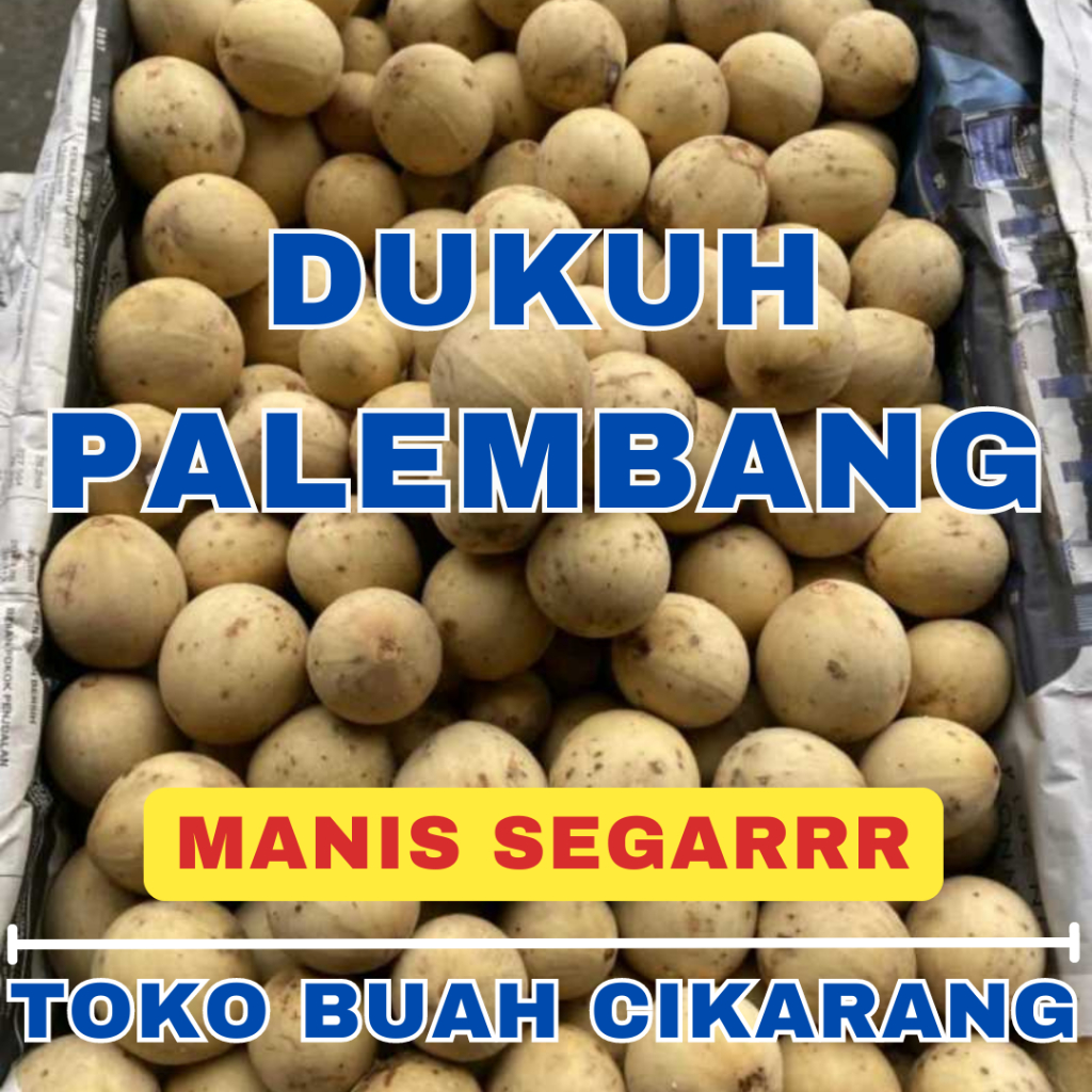 

(BISA COD) PROMOO BUAH DUKU PALEMBANG 1 KILO TOKO BUAH CIKARANG